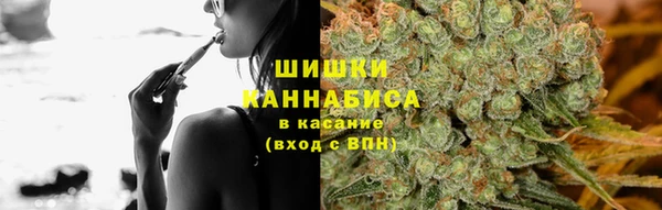 ешки Арсеньев