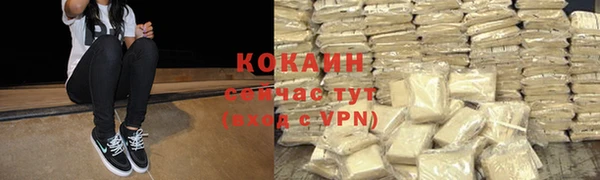 ешки Арсеньев