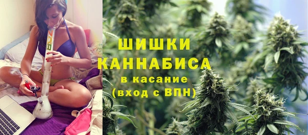 Альфа ПВП Армянск
