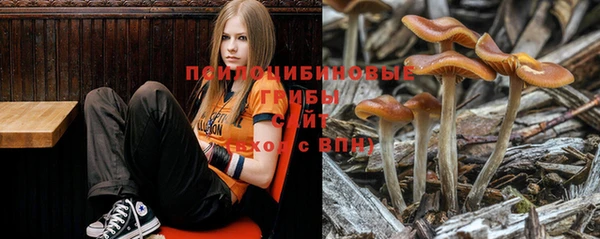 ешки Арсеньев