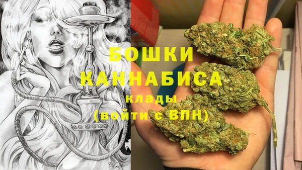 гидра Аркадак