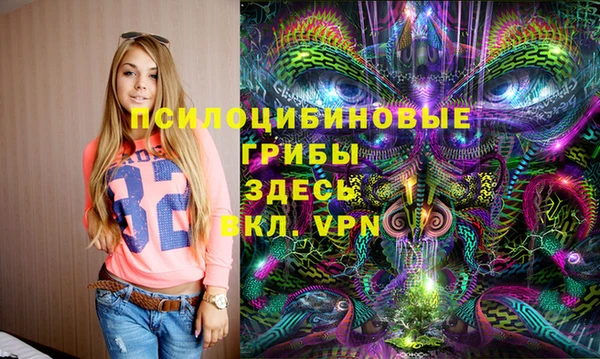 гидра Аркадак